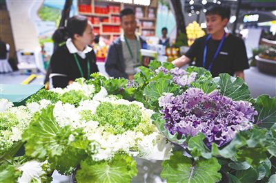 12月4日,观众在海南冬交会现场了解盆栽甘蓝。新华社记者 郭程 摄