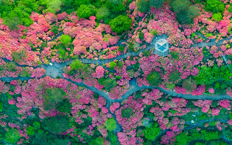 龟峰山景区。