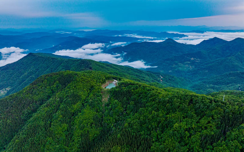 九华山国有林场