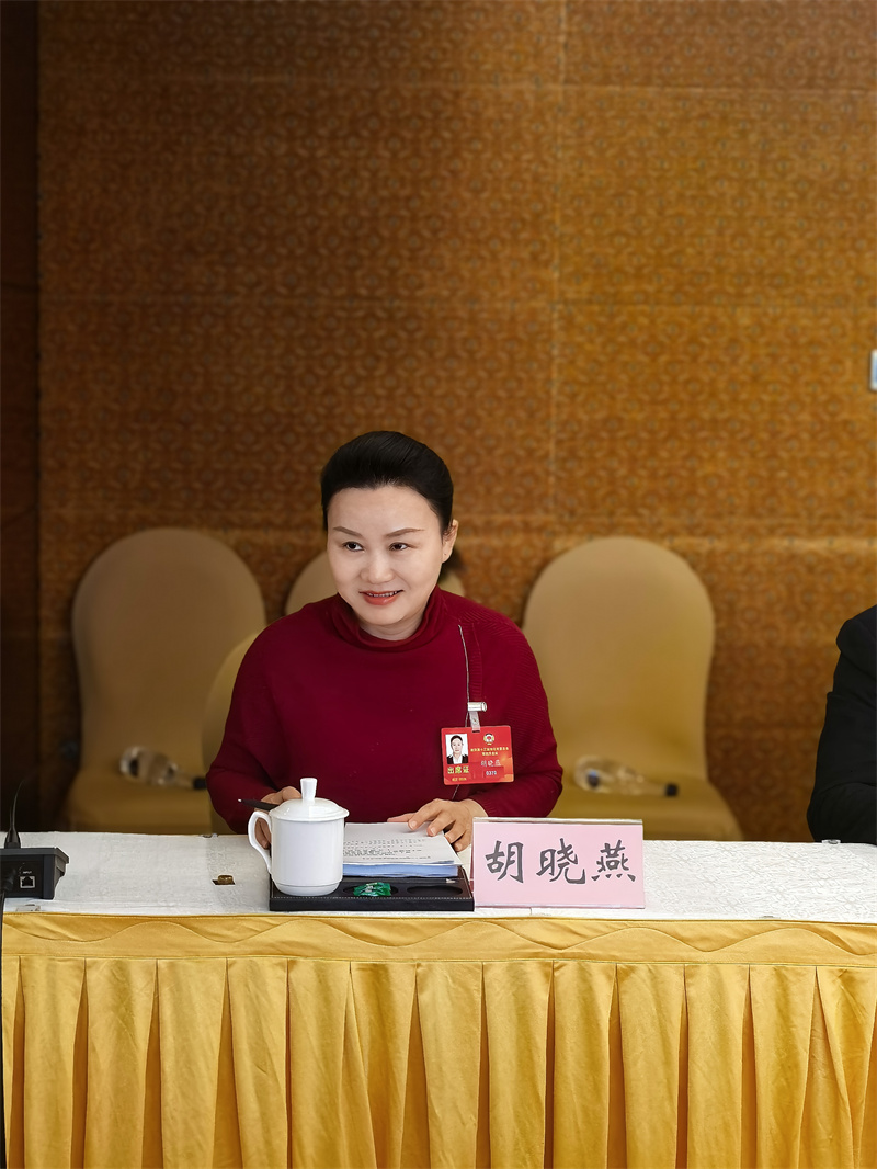 胡晓燕委员。受访者供图