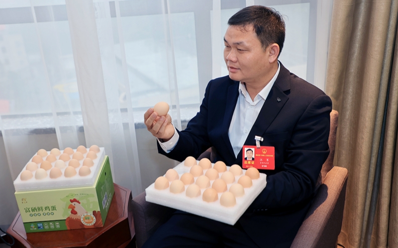 省人大代表、浠水县朱店村村党总支书记汪军。