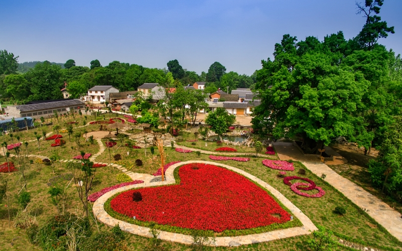 湖北钟祥的美丽乡村。