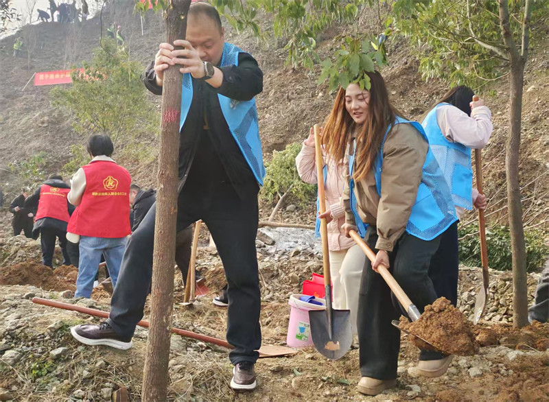 郧西县干群齐心协力在高铁站对面山体共植万株新绿。 徐光意摄