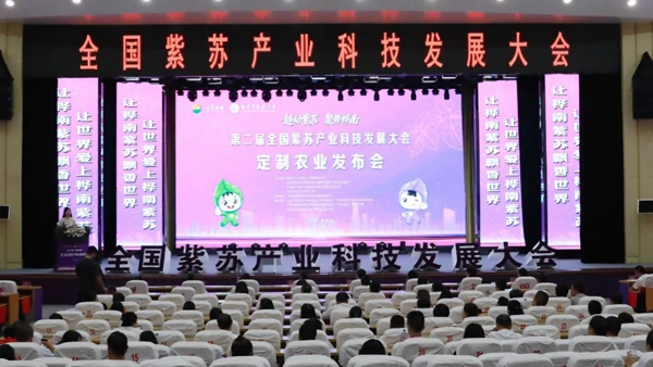 发布会现场。图片由桦南县融媒体中心提供